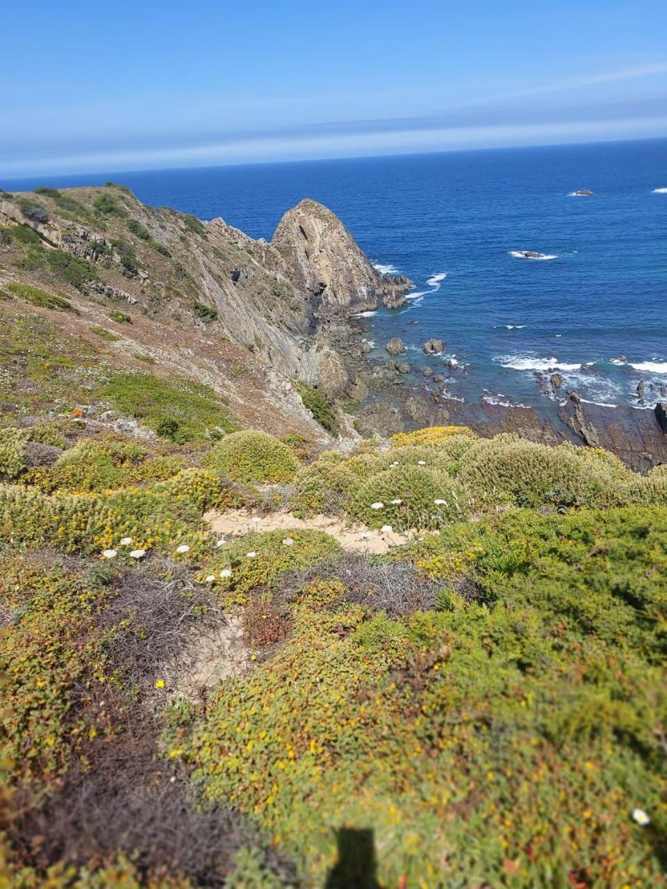 Choeiro Verde - Casa De Campo Na Costa Vicentina Brejao 外观 照片